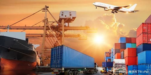 外贸指定货代 潜在风险与应对策略全解析