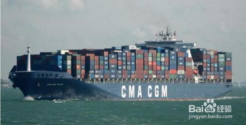 上海注册进出口公司及国内贸易代理所需材料详解